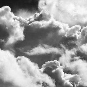 Meet your Posher, Mae